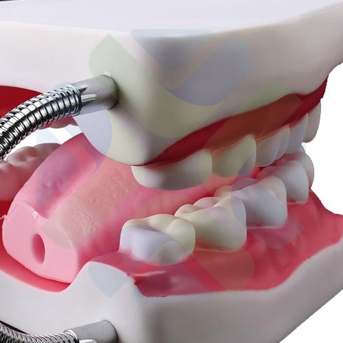 MODELO DE DENTADURA AMPLIA