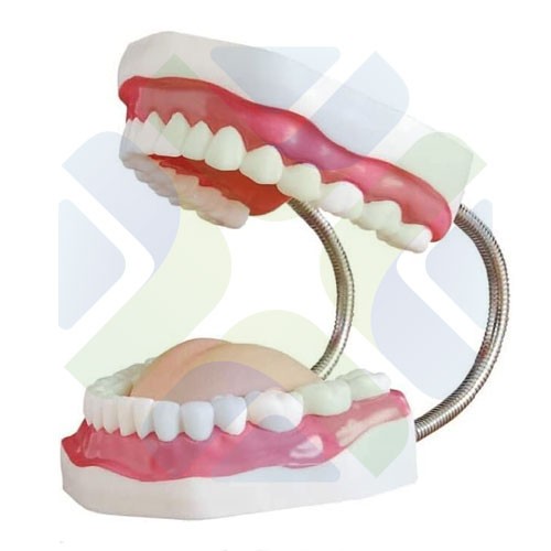 MODELO DE DENTADURA AMPLIA