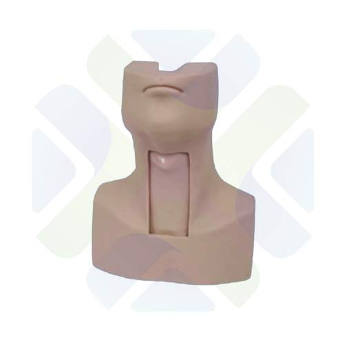 SIMULADOR AVANZADO DE TRAQUEOTOMIA E INTUBACION