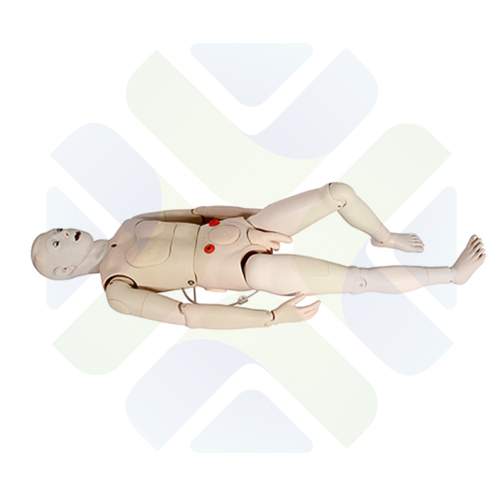 MANIQUI DE ENFERMERIA MULTIFUNCIONAL HOMBRE