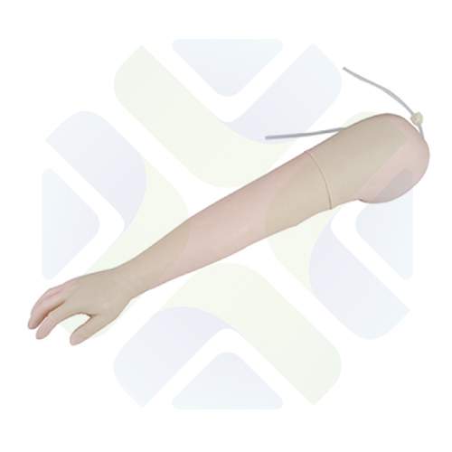BRAZO PARA INYECCIN INTRAVENOSA  