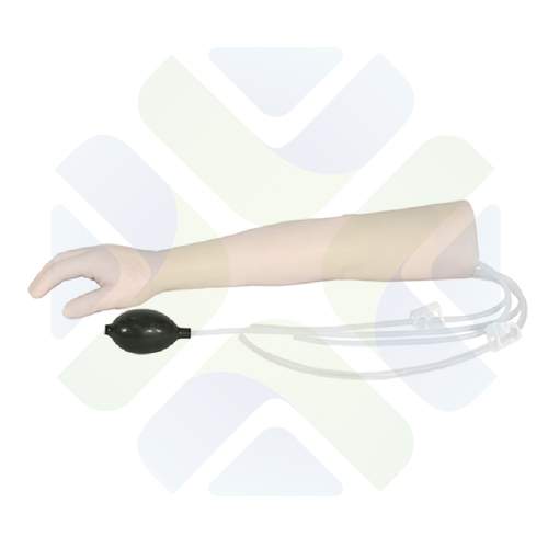 BRAZO ENTRENADOR DE ARTERIA Y VENA  