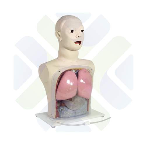 MODELO DE ALIMENTACION NASAL Y LAVADO GASTRICO